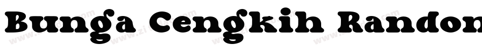 Bunga Cengkih Random字体转换